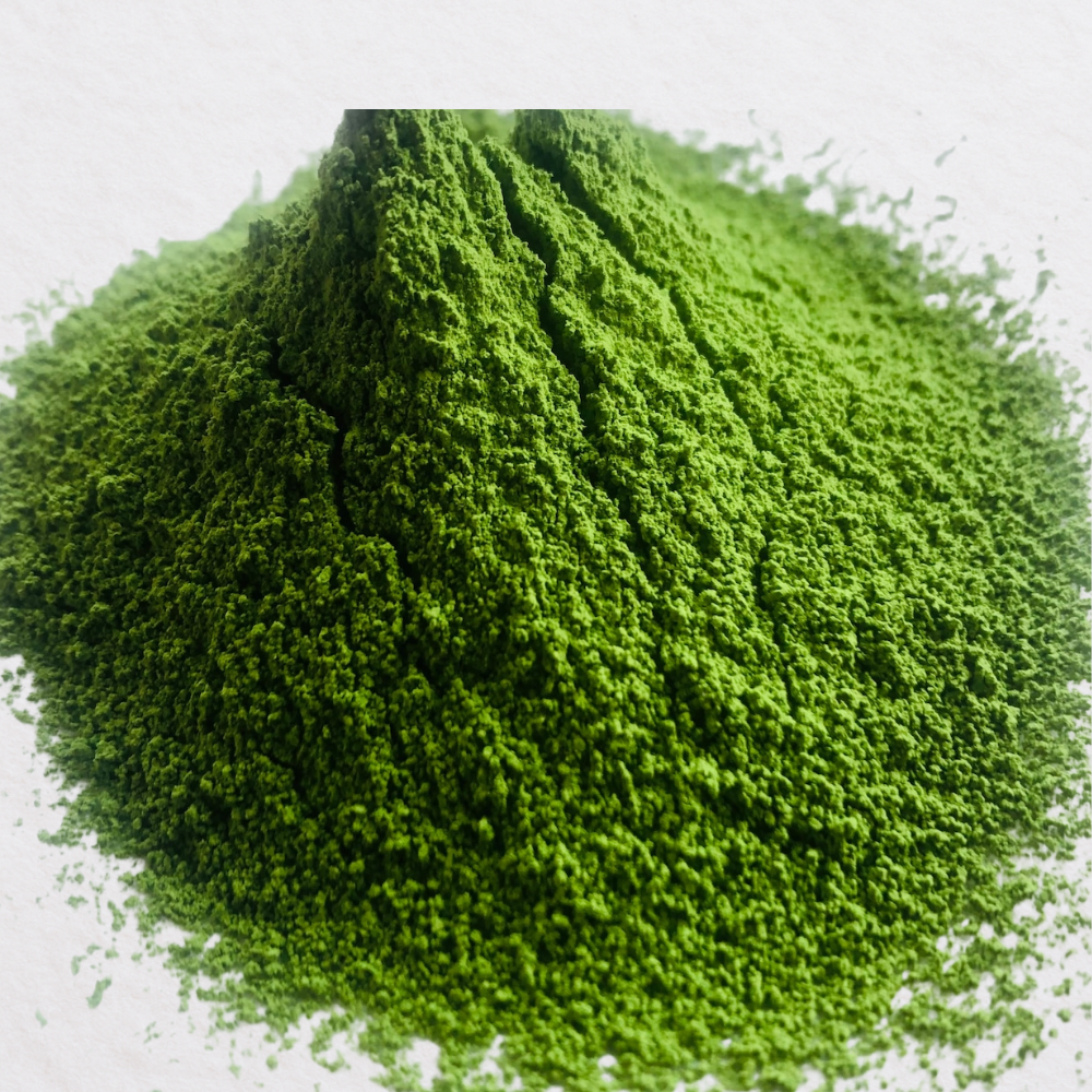 Premium Ceremoniële Matcha — 五香 Gokou Single Cultivar (40g)